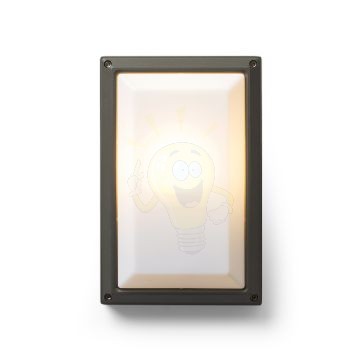 Kép DELTA RC fali lámpa antracitszürke 230V E27 18W IP54