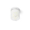 Kép ESICA CYL mennyezeti lámpa króm 230V LED 6W IP44 3000K