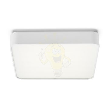 Kép MENSA SQ 48 mennyezeti lámpa fehér  230V LED 56W  3000K