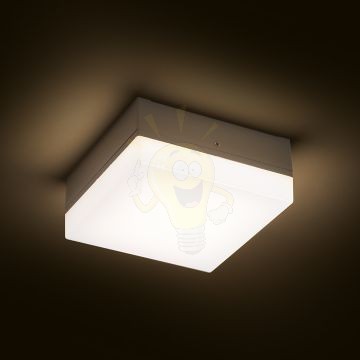 Kép SPECTACLE felületre szerelhető ezüstszürke 230V LED 5W IP54 3000K