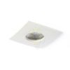 WATERBOY SQ  matt fehér  230V LED 10W 40° IP65  3000K