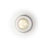 Kép DINGO S dönthető lámpa  gipsz 12V LED GU5,3 15W