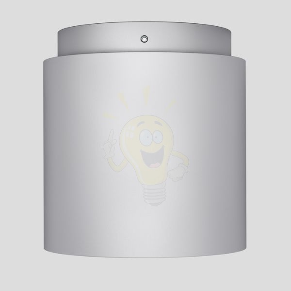 EX 111 henger alakú mennyezeti lámpa ezüstszürke  230V/12V G53 50W
