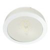 KARISMA 22 2D   opál üveg 230V GR10q 16W IP44