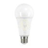 LED fényforrás IQ-LED A67 IQ-LED A67 N 19W-WW