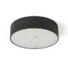 LARISA R 22 mennyezeti lámpa fekete 230V LED 20W 3000K 4000K 6500K