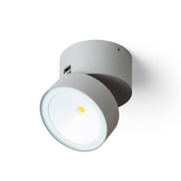 FLAVIO R felületre szerelhető világosszürke 230V LED 6W 110° IP54 3000K