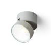 FLAVIO R felületre szerelhető világosszürke 230V LED 6W 110° IP54 3000K