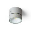 FLAVIO R felületre szerelhető világosszürke 230V LED 6W 110° IP54 3000K