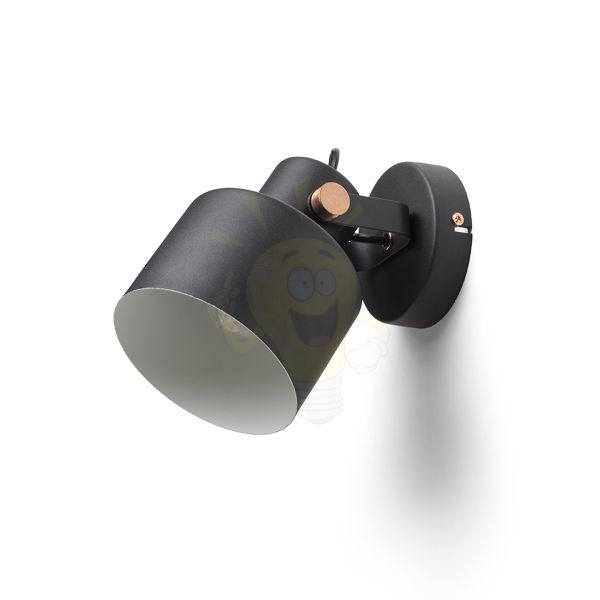 CELEIA felületre szerelhető matt fekete szálcsiszolt réz 230V LED E27 11W