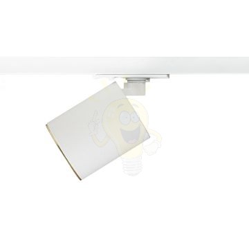 DARIO egyfázisú áramkörös sínre fehér szálcsiszolt sárgaréz 230V LED GU10 9W
