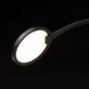 CELESTE fali lámpa fekete 230V LED 4.8W 3000K