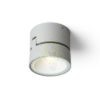 FLAVIO R felületre szerelhető világosszürke 230V LED 6W 110° IP54 3000K