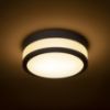 CIRA LED 23 mennyezeti lámpa opál üveg/fekete 230V LED 12W IP44 3000K