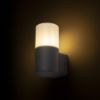 BONNIE fali lámpa antracit  230V LED E27 11W IP44