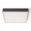 LARISA SQ 40 mennyezeti lámpa fekete 230V LED 50W 3000K